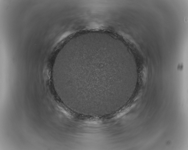 X0000091951206200709131157