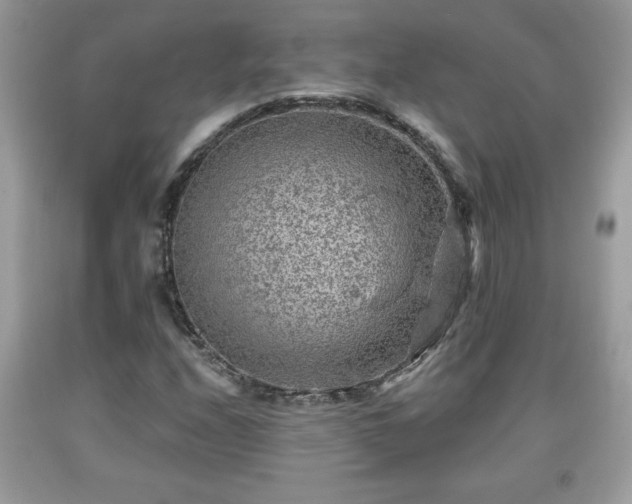 X0000091951208200709131157