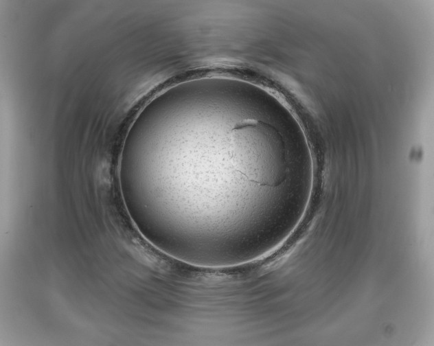 X0000091951209200709131157