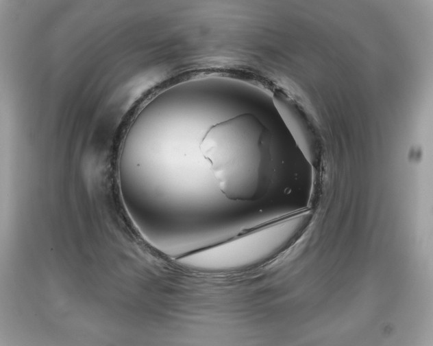 X0000091951210200709131157