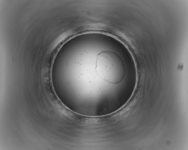 X0000091951211200709131157