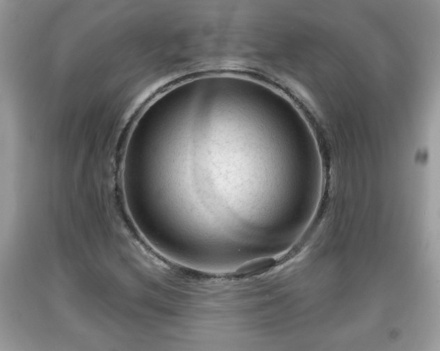 X0000091951212200709131157