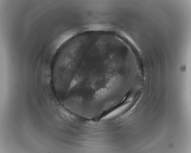 X0000091951213200709131157