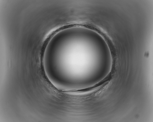 X0000091951214200709131157