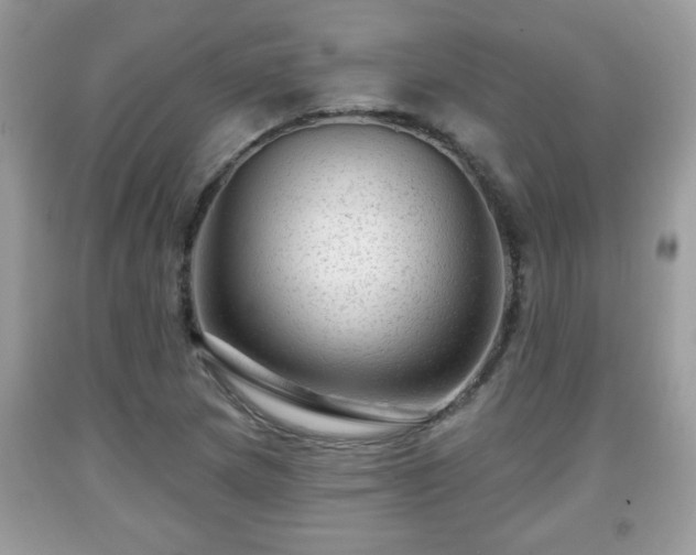X0000091951217200709131157