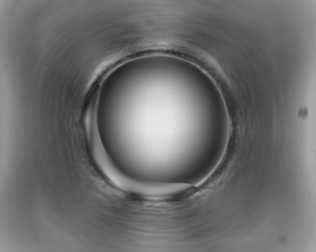 X0000091951218200709131157