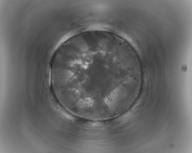 X0000091951219200709131157