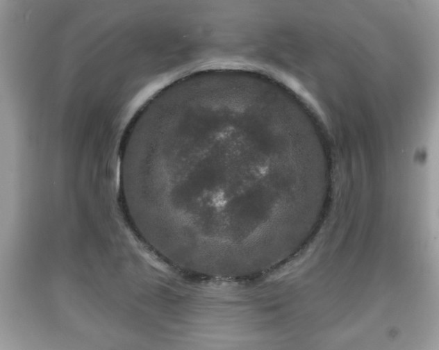 X0000091951221200709131157