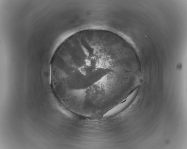 X0000091951223200709131157