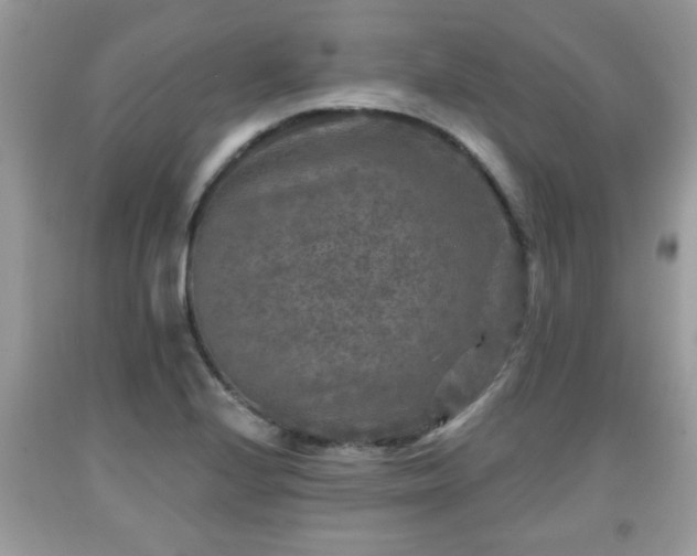 X0000091951224200709131157