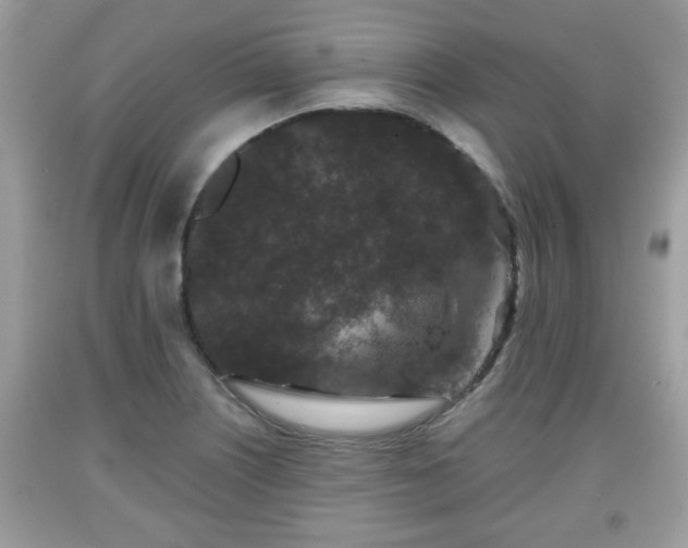 X0000091951226200709131157