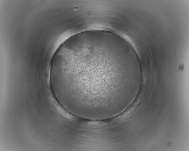 X0000091951227200709131157
