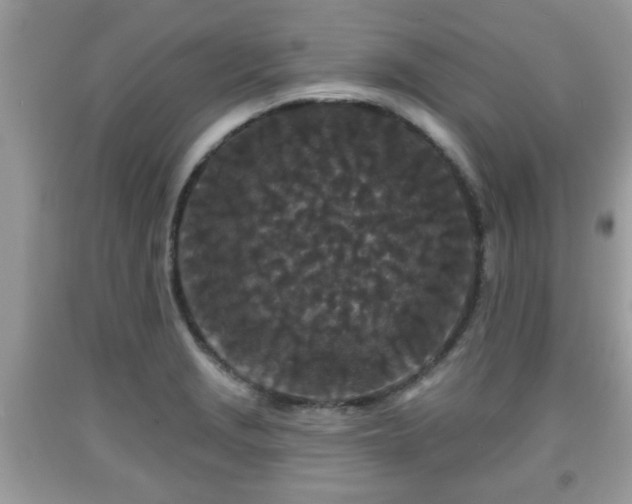 X0000091951229200709131157