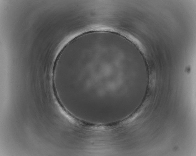 X0000091951231200709131157