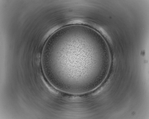 X0000091951233200709131157