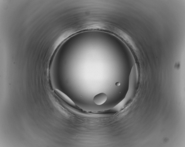 X0000091951234200709131157