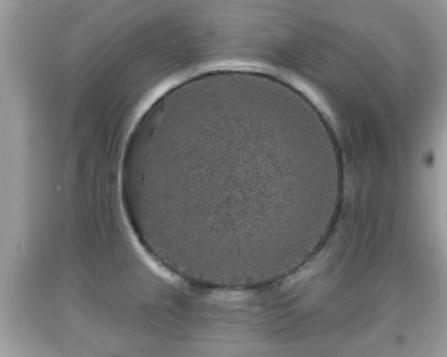 X0000091951237200709131157