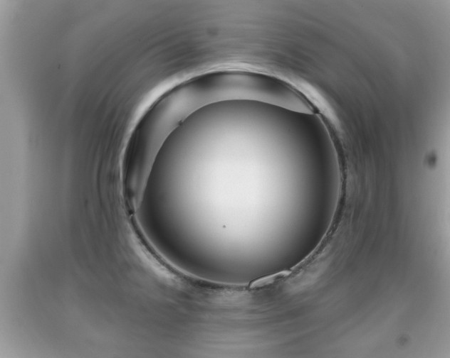 X0000091951238200709131157