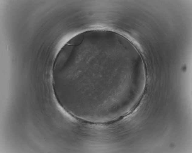 X0000091951239200709131157