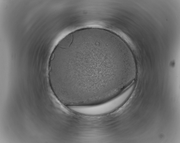 X0000091951240200709131157