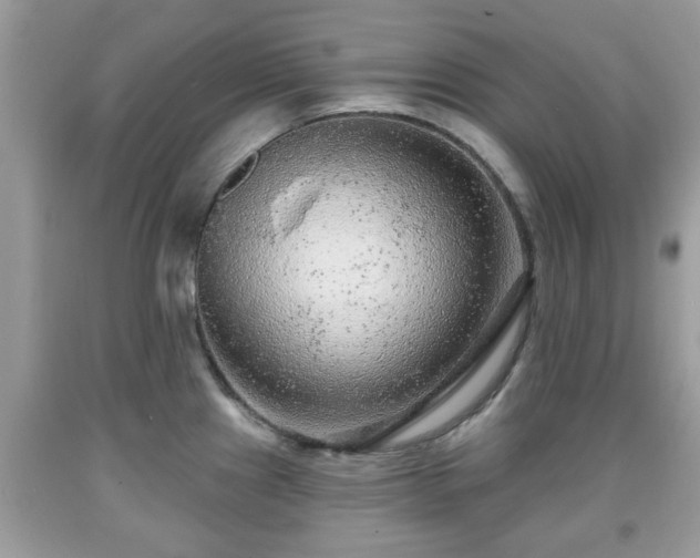 X0000091951241200709131157