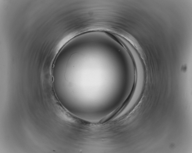 X0000091951242200709131157