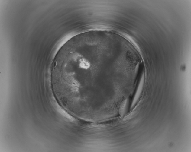 X0000091951243200709131157