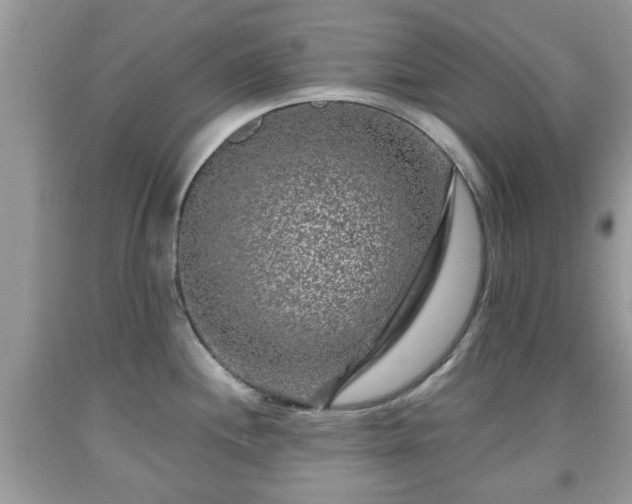 X0000091951244200709131157