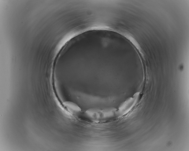 X0000091951245200709131157