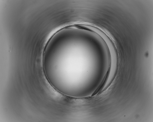 X0000091951246200709131157