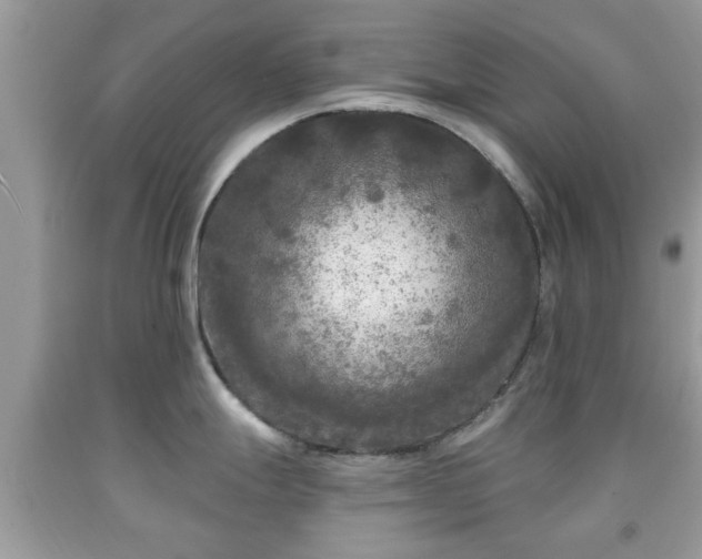 X0000091951247200709131157