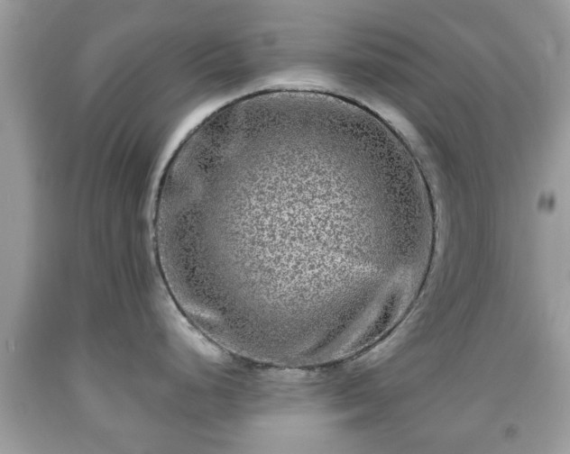 X0000091951248200709131157