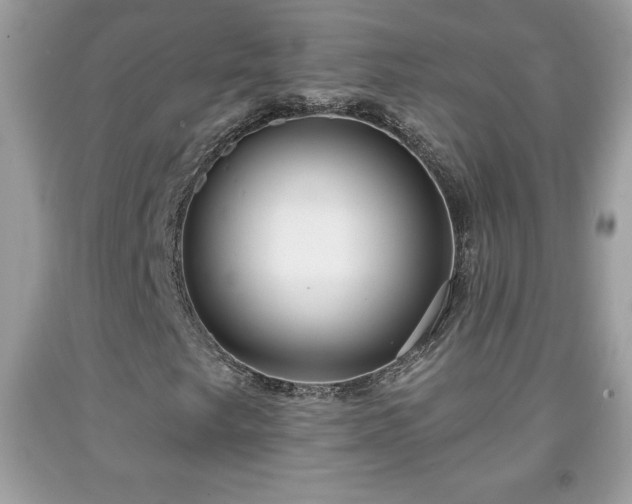 X0000091951249200709131156