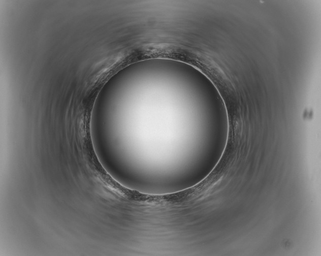 X0000091951250200709131156