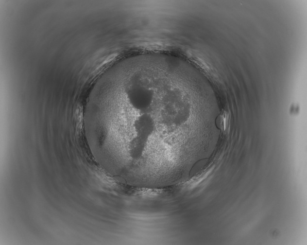 X0000091951251200709131156