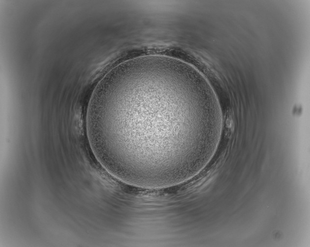 X0000091951252200709131156