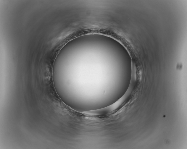 X0000091951253200709131156