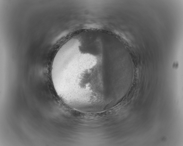 X0000091951254200709131156