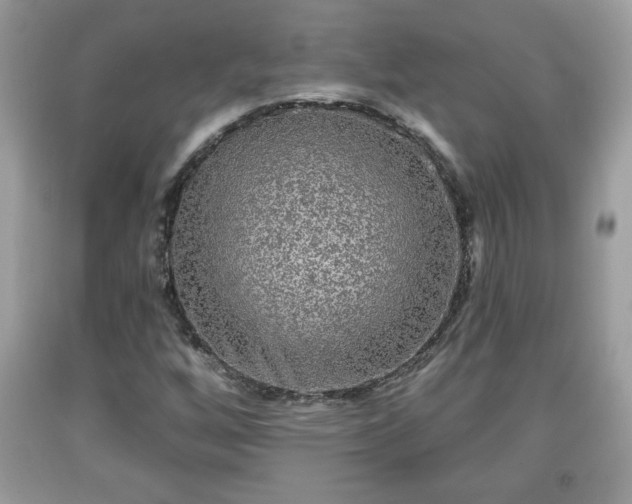 X0000091951256200709131156