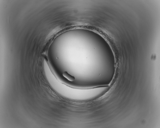 X0000091951257200709131156