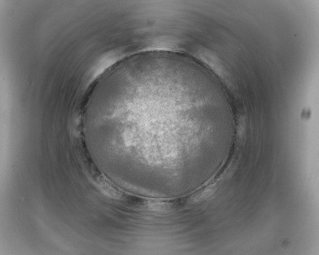 X0000091951258200709131156