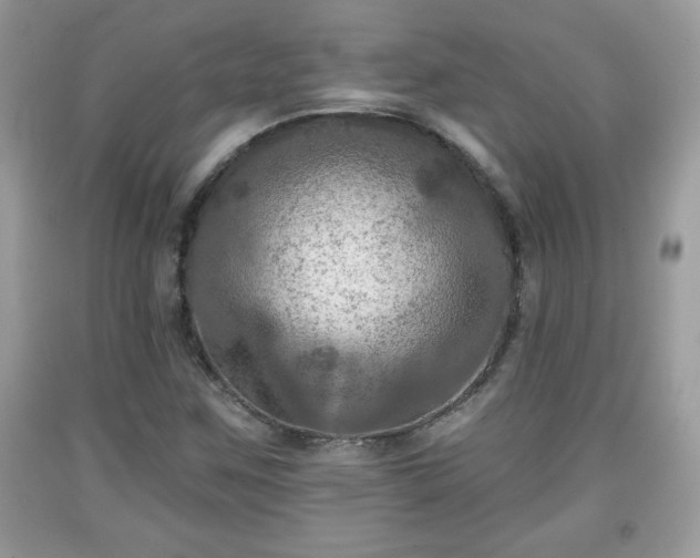 X0000091951259200709131156