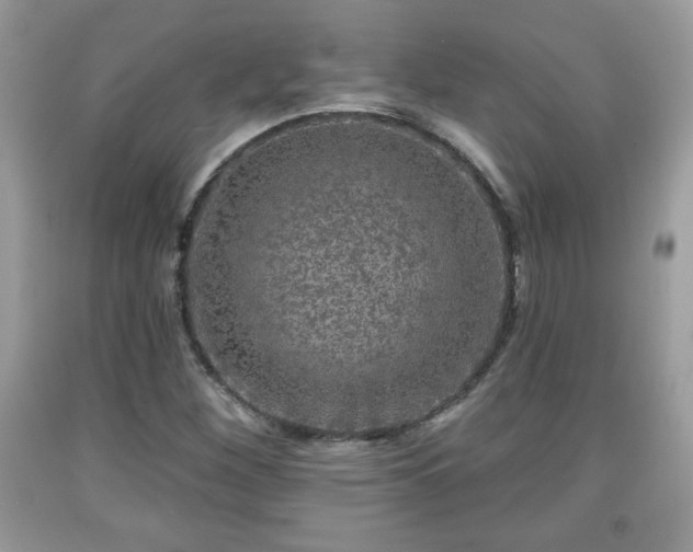 X0000091951260200709131156