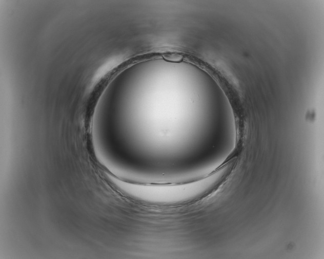 X0000091951261200709131156