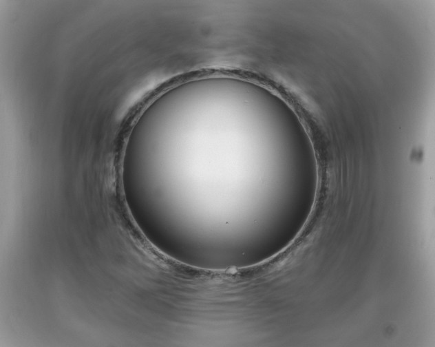 X0000091951262200709131156