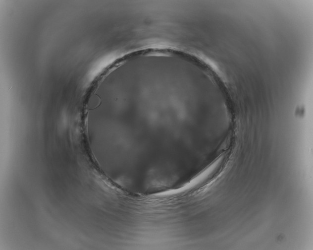 X0000091951263200709131156