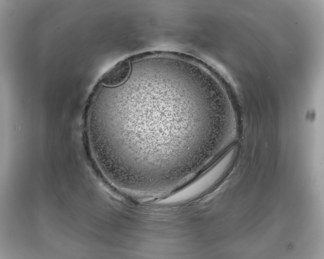 X0000091951264200709131156
