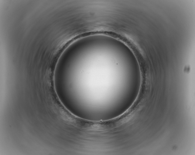 X0000091951265200709131156