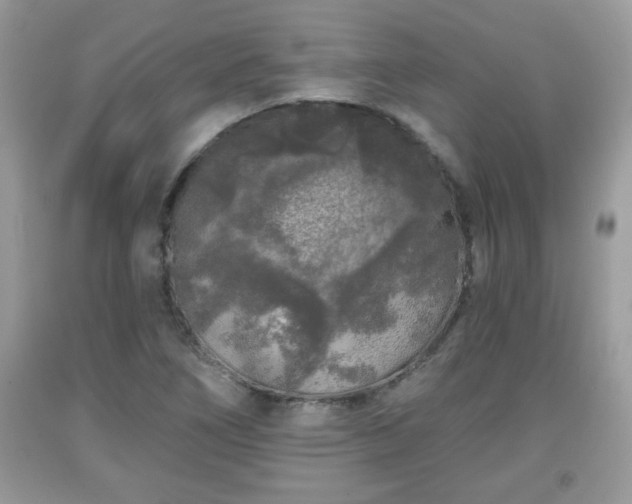X0000091951266200709131156