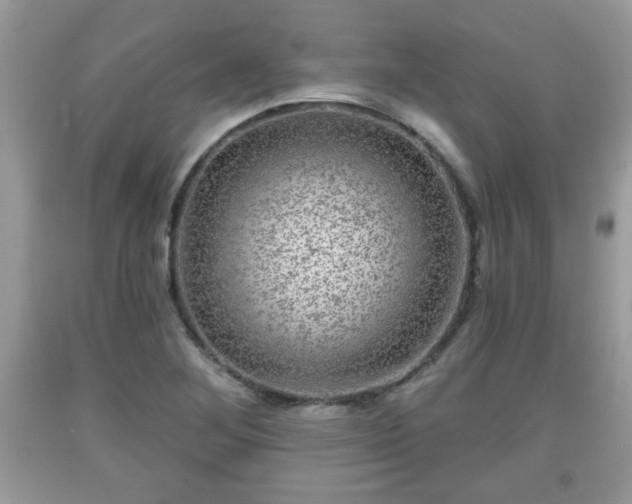 X0000091951268200709131156